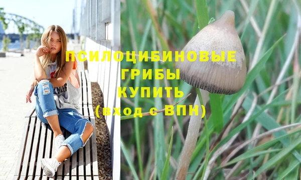синтетический гашиш Алексеевка
