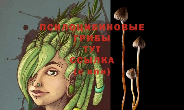 МДПВ Алексин