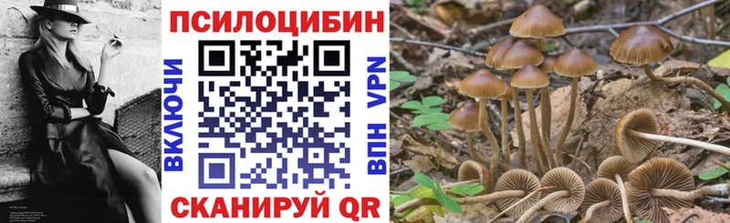 купить наркотик  Белинский  Галлюциногенные грибы MAGIC MUSHROOMS 